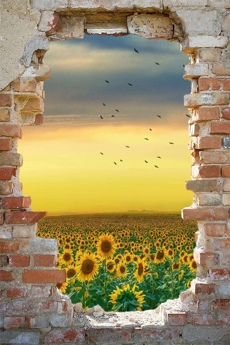 Kate schäbige Mauer Sonnenblumen Hintergrund - Kate Backdrop.de