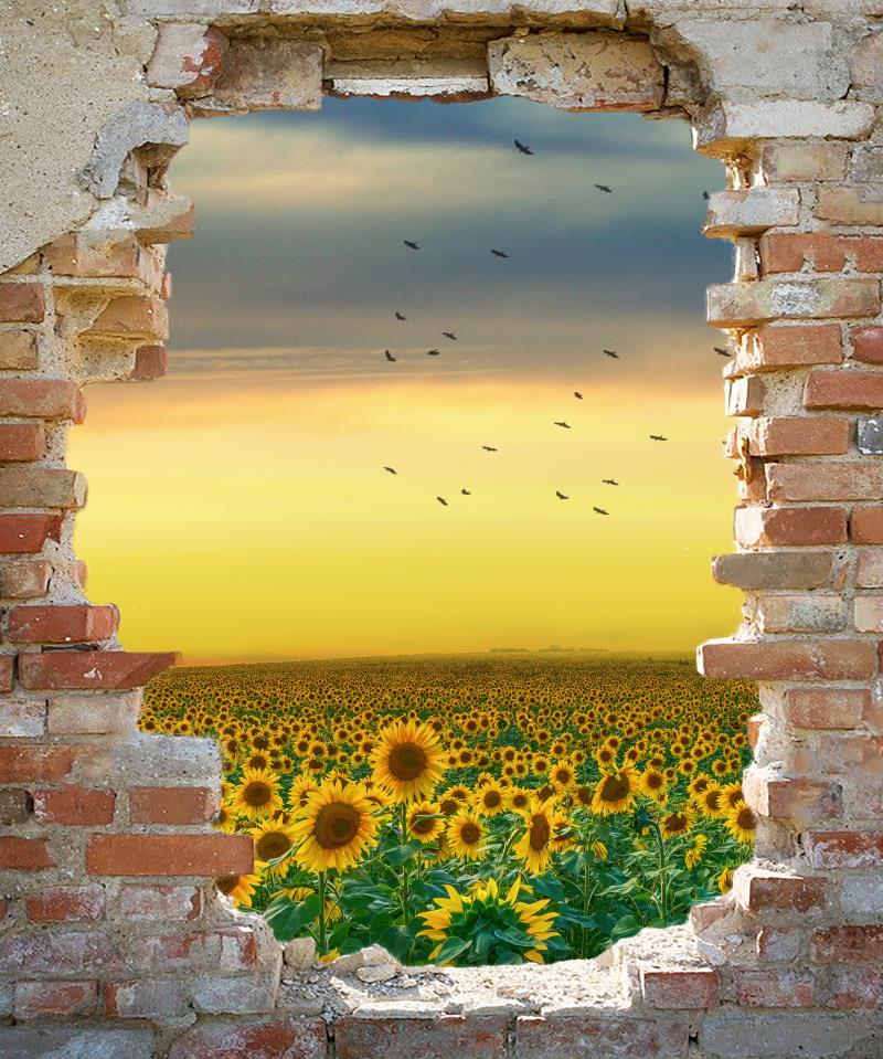 Kate schäbige Mauer Sonnenblumen Hintergrund - Kate Backdrop.de