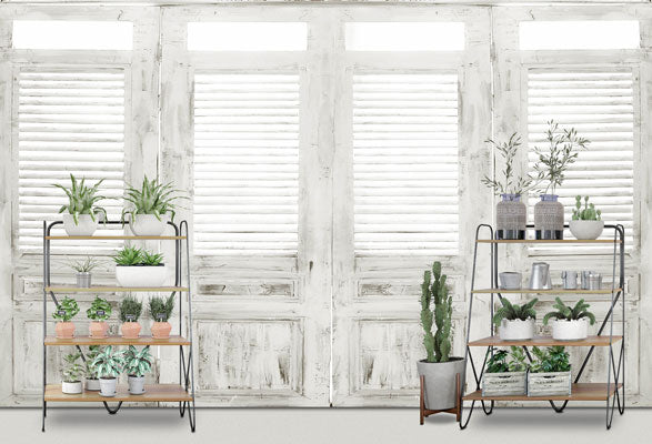 Kate Frühling Tür Fenster grün Fotografie Hintergrund - Kate Backdrop.de