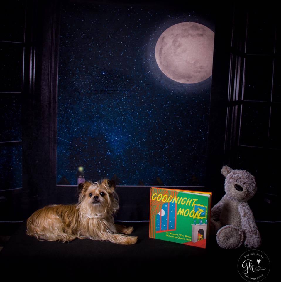 Kate Fenster Nacht mit Mond und Star Aussicht Hintergrund Entworfen von Jerry_Sina - Kate Backdrop.de