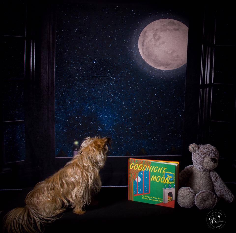 Kate Fenster Nacht mit Mond und Star Aussicht Hintergrund Entworfen von Jerry_Sina - Kate Backdrop.de