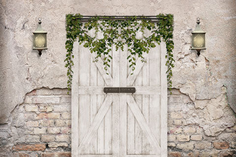 Kate Sommer Scheunentür Hintergrund entworfen von JS Fotografie - Kate Backdrop.de
