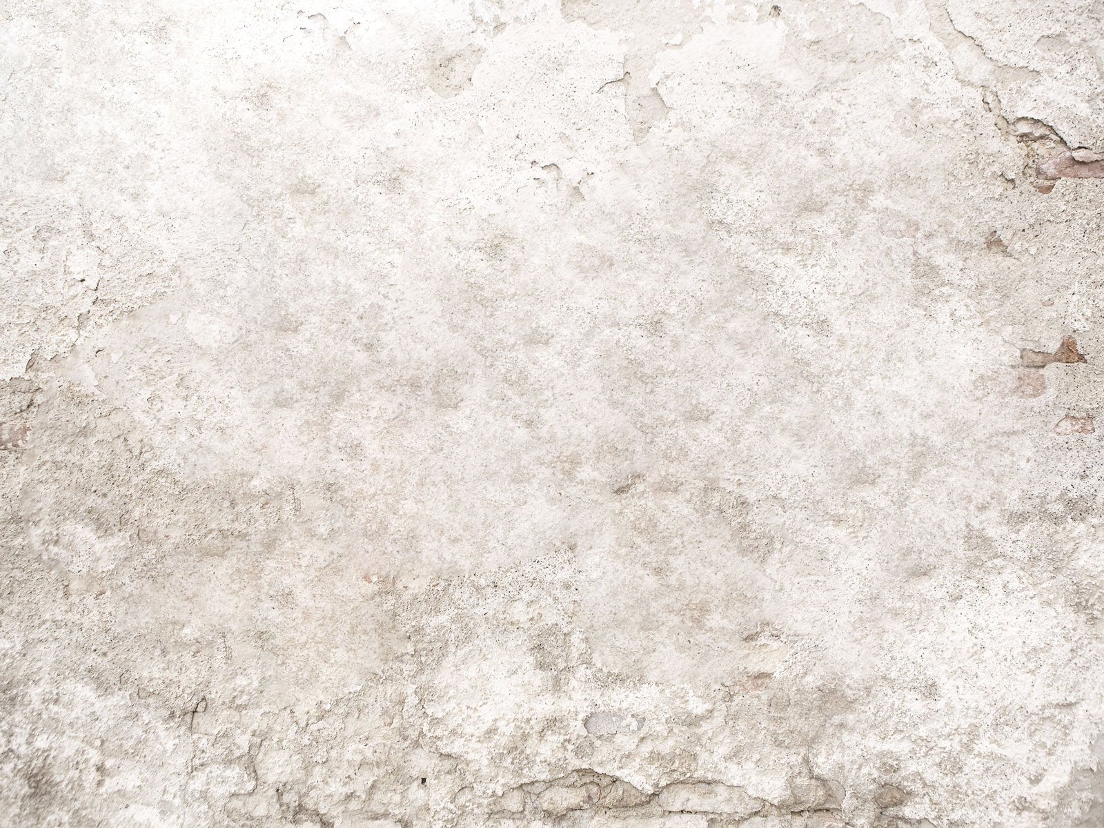 Kate Retro Wand Hintergrund Hund Haustier für Fotografie - Kate Backdrop.de