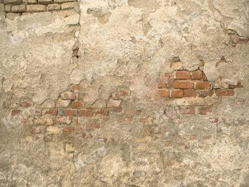 Kate Backsteinmauer Hintergrund entworfen von JS Photography - Kate Backdrop.de