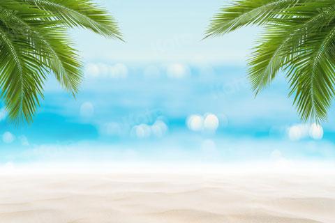 Kate Sommerstrand Kokosnussblätter Hintergrund für Fotografie - Kate Backdrop.de