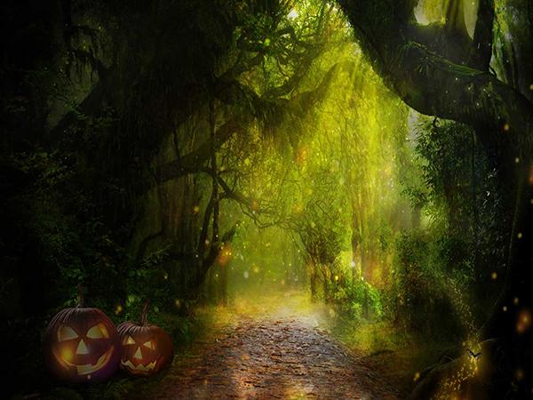Katebackdrop:Kate Halloween Photography Backdrop Pumpkin Forest Background