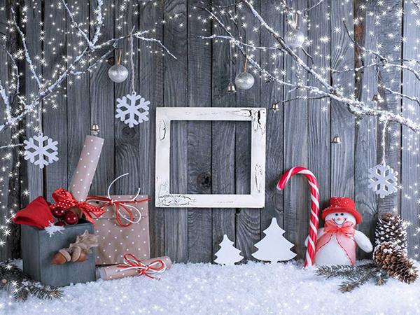 Katebackdrop:Kate Gray Wood Wall Shinny Tree Snow Photo Background