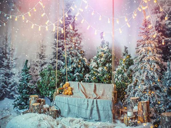 Katebackdrop:Kate Christmas Decoration Photography Backdrop Snow Scene Photo Background