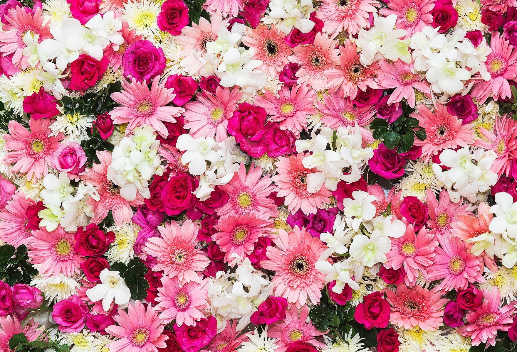 Katebackdrop:Kate Valentine Backdrop Flowers Wedding Children photos