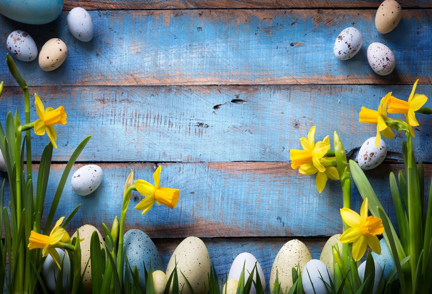 Katebackdrop:Kate Easter Eggs Yellow Flower in Blue Wooden Wall Background