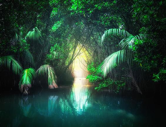 Katebackdrop:Kate Waterfall Green Lake Purple Flower Sunshine Backdrop