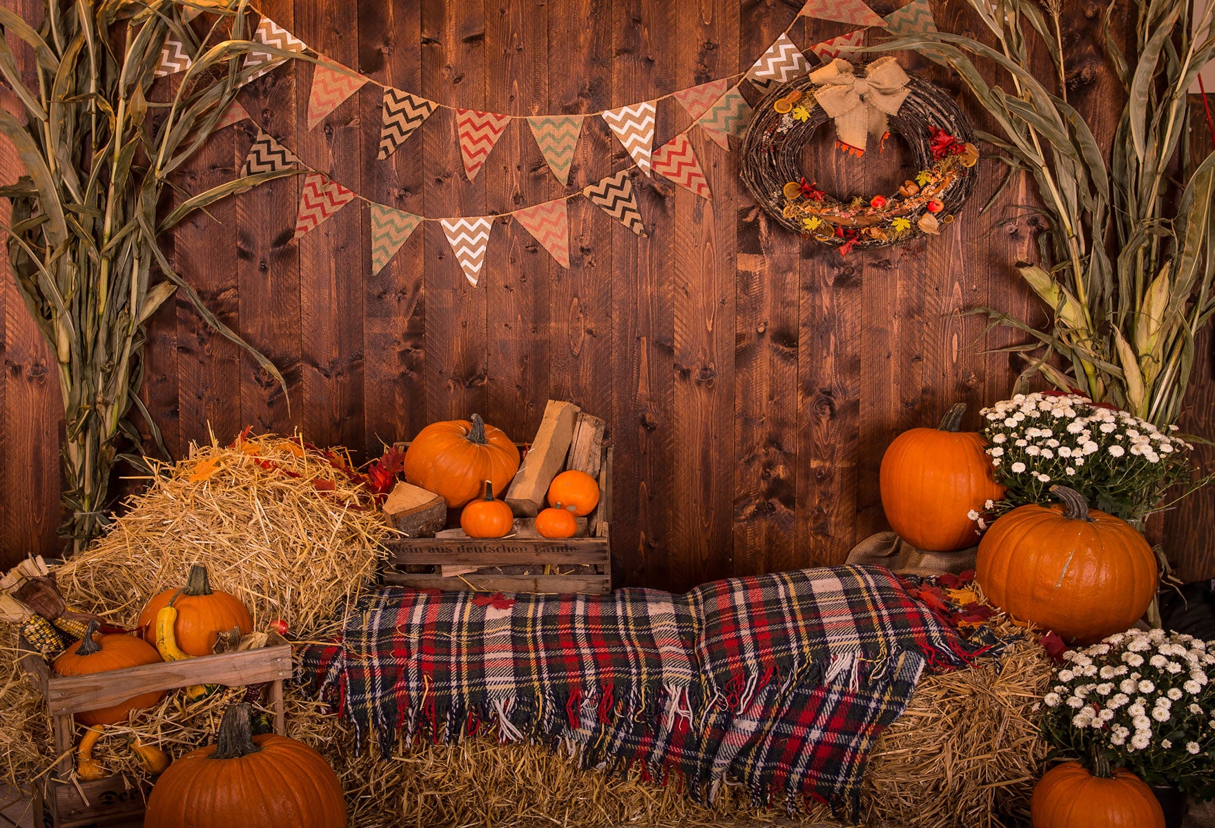 Kate Halloween Fotografie Hintergrund Kürbis Bauernhof Kind - Kate Backdrop.de