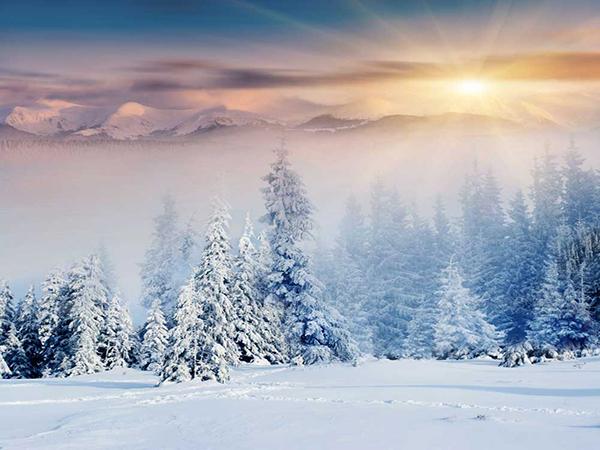 Katebackdrop:Kate Christmas Winter Outdoor Scene Sunrise Photo Backdrop