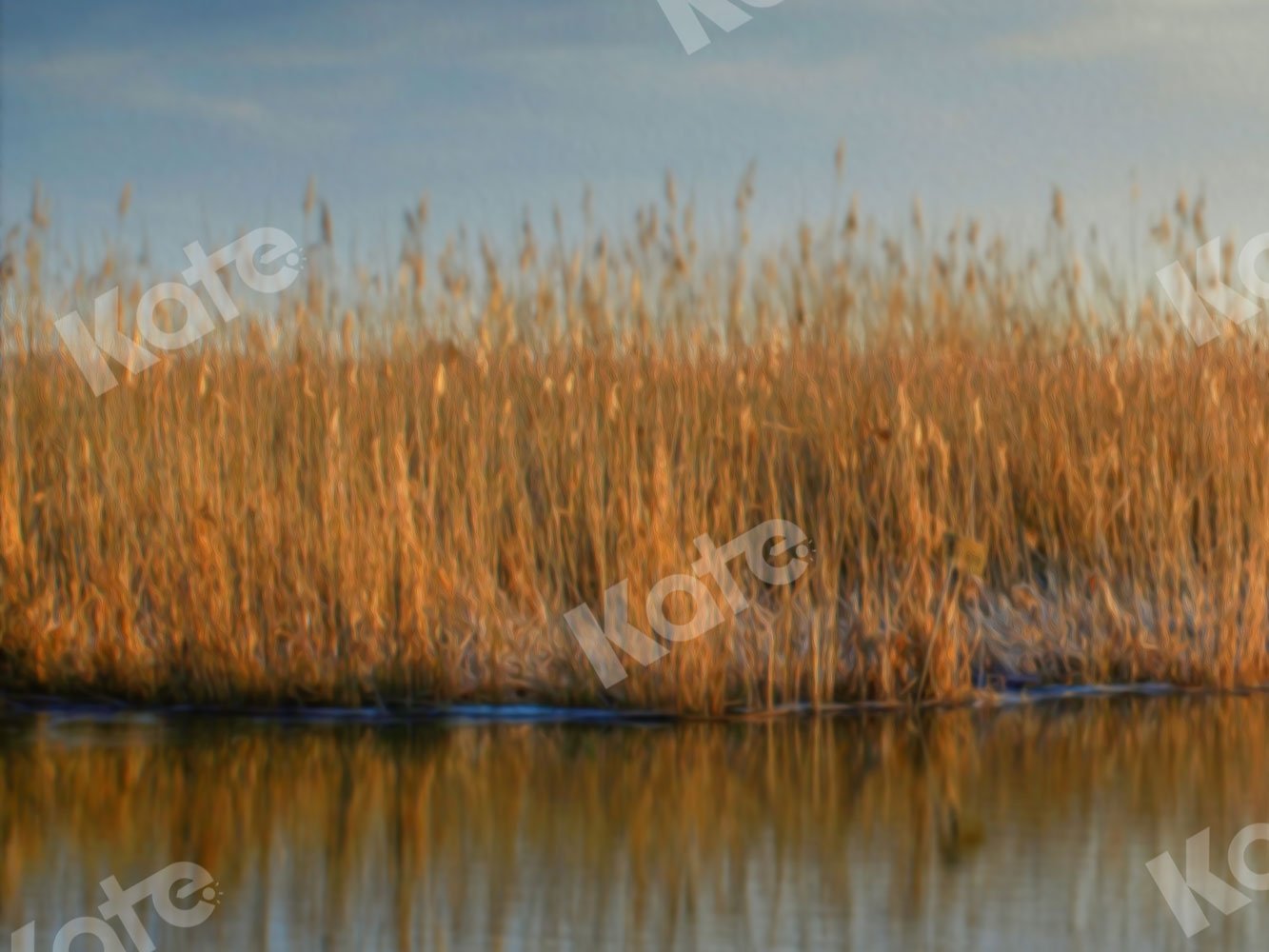 Kate Herbst Hintergrund Wasser Schilf für die Fotografie - Kate Backdrop.de