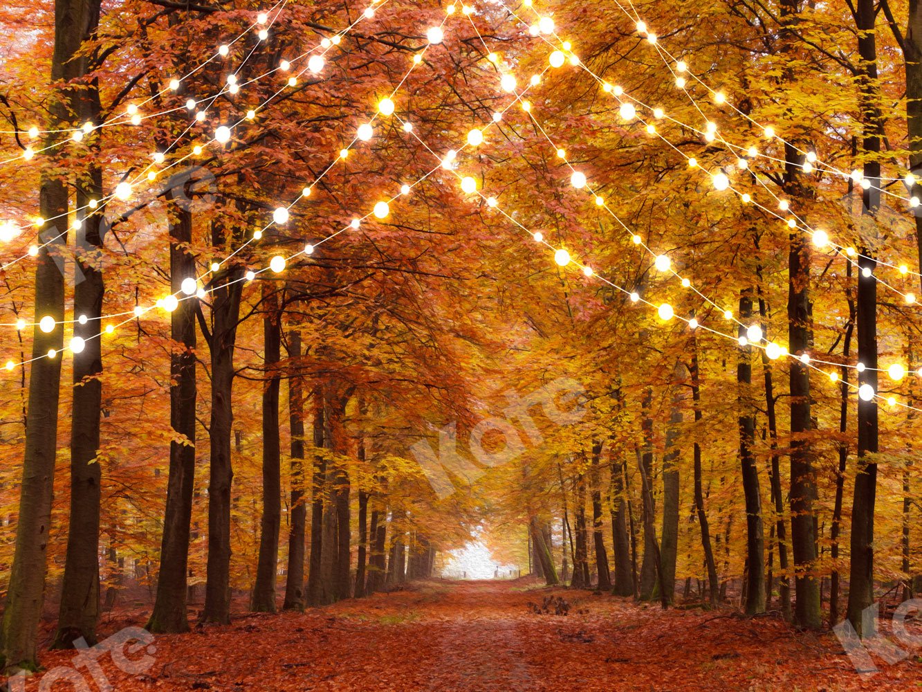 Kate Herbst Hintergrund Waldstraße mit Lichtern für die Fotografie - Kate Backdrop.de
