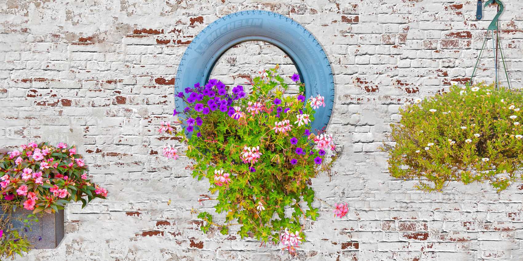 Kate Valentinstag Blumen Wand Frühling Hintergrund für Fotografie