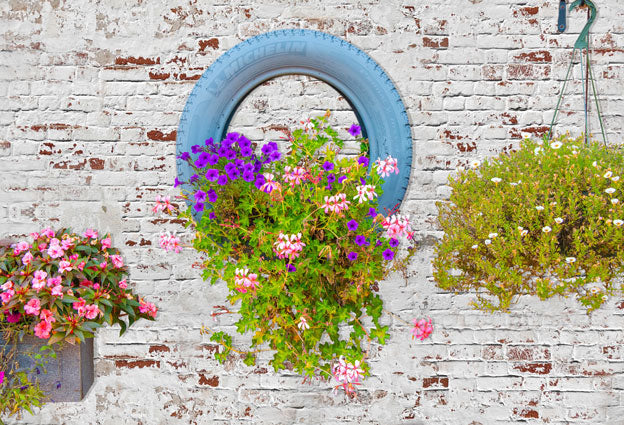 Kate Valentinstag Blumen Wand Frühling Hintergrund für Fotografie