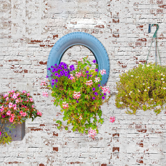 Kate Valentinstag Blumen Wand Frühling Hintergrund für Fotografie