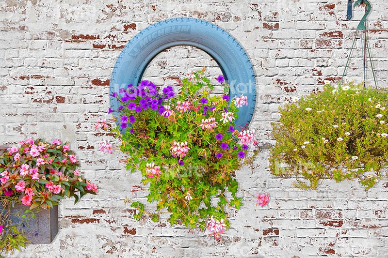 Kate Valentinstag Blumen Wand Frühling Hintergrund für Fotografie