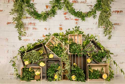 Kate Frühling Gras Dekorationen Backsteinmauer Hintergrund Entworfen von Jia Chan Photography - Kate Backdrop.de