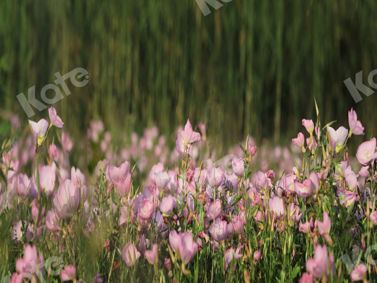 Kate Garten rosa Blumen Hintergrund entworfen von Jia Chan Fotografie