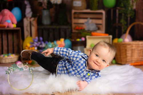 Kate Ostern Karotte Kaninchen Ostereier bunte Blume Hintergrund für Fotografie - Kate Backdrop.de
