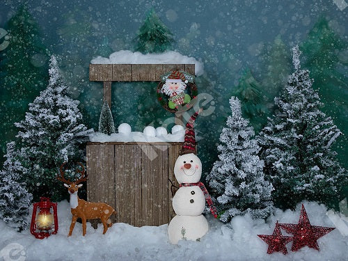 Kate Weihnachtshintergrund Schneemann im Freien Entworfen von Jia Chan Photography - Kate Backdrop.de