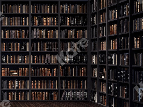 Kate Bibliothek Schule Schulanfang Hintergrund - Kate Backdrop.de