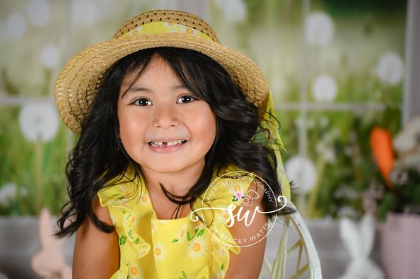 Kate Fenster Hintergrund Frühling Sommer Garten von Emetselch - Kate Backdrop.de