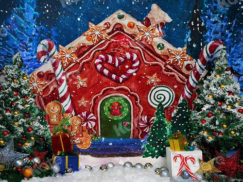 Kate Weihnachten Schnee Weihnachtsbaum Winter Lebkuchenhaus Hintergrund - Kate Backdrop.de