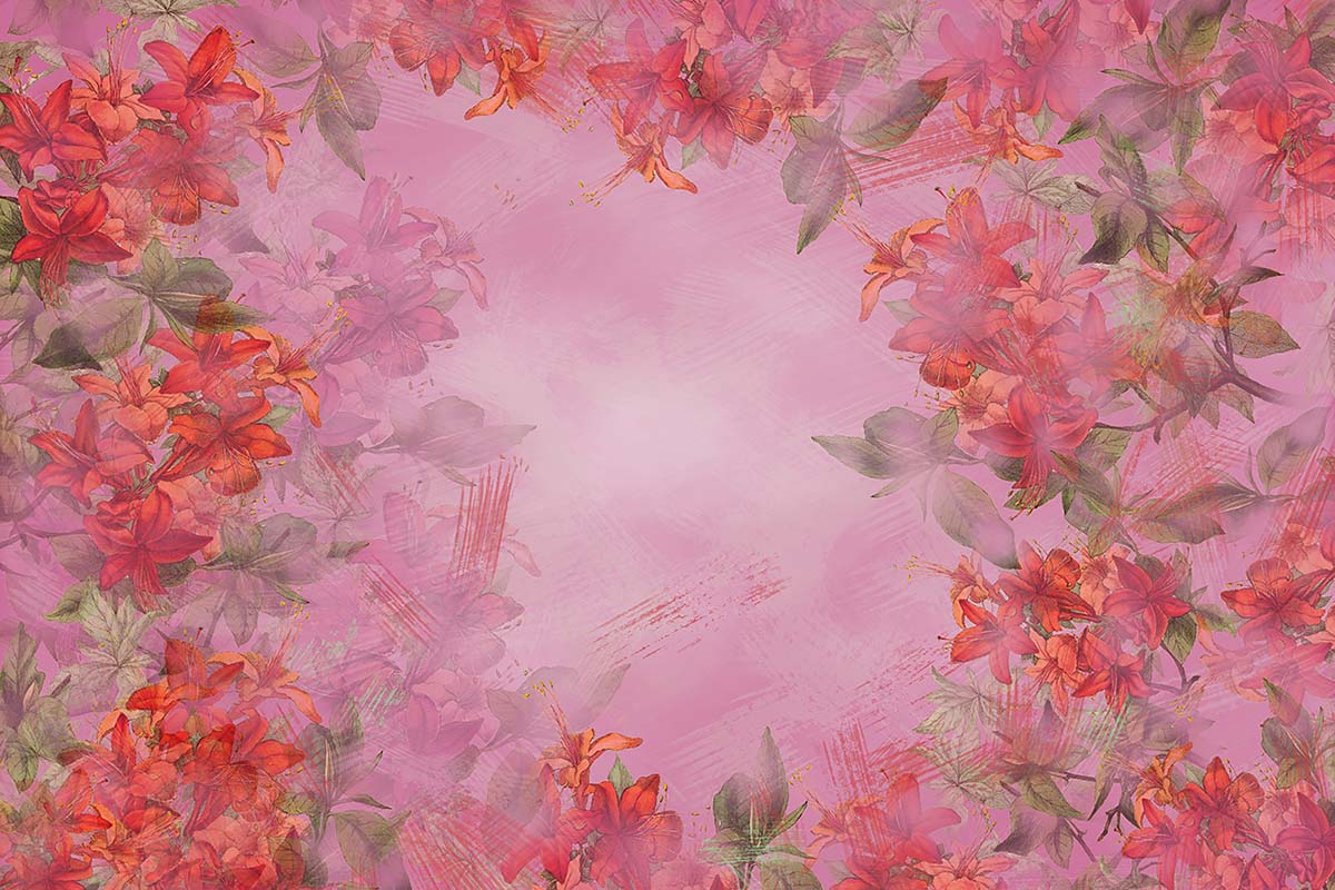 Kate Fine Art Blumen rosa Hintergrund Entworfen von GQ - Kate Backdrop.de