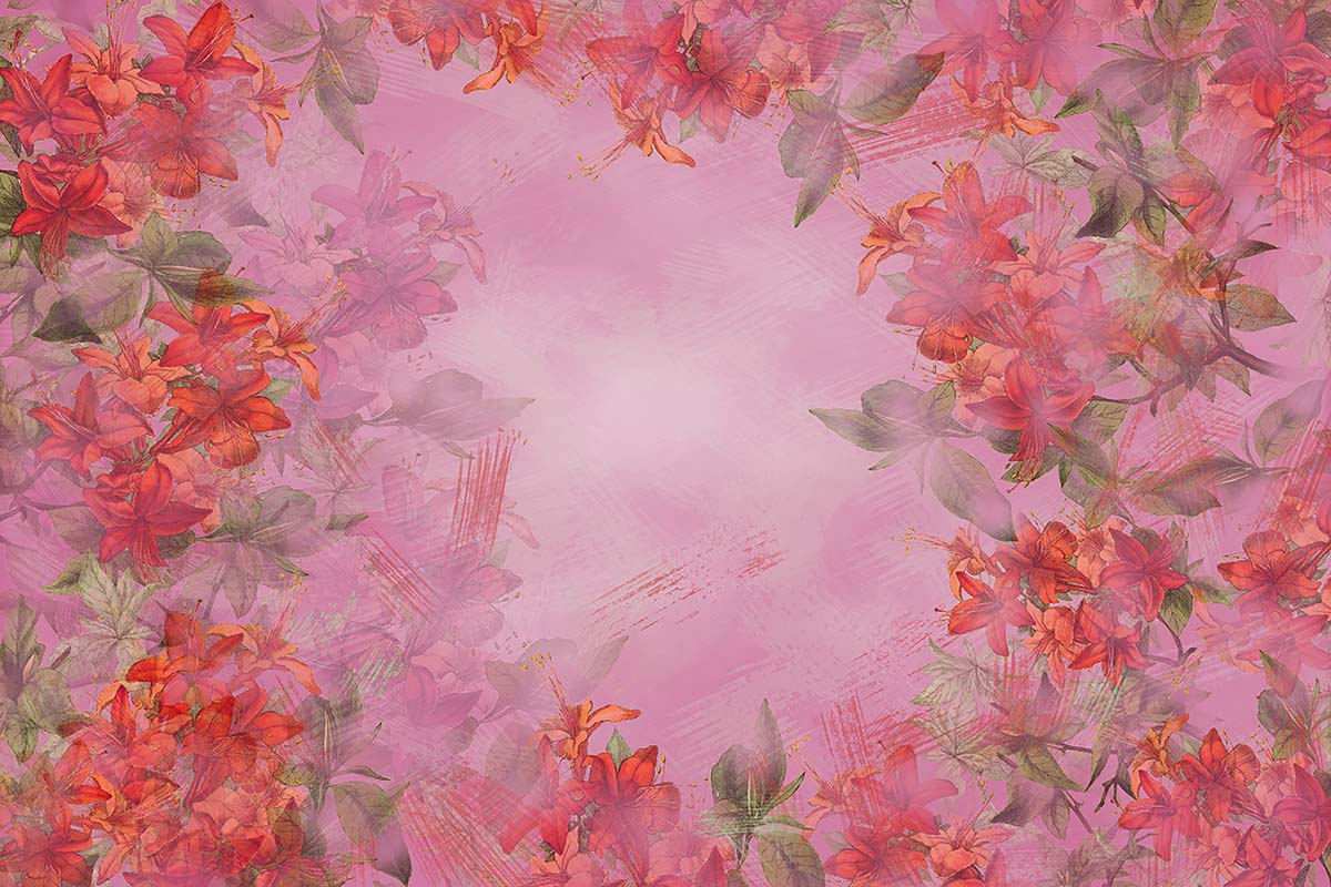 Kate Fine Art Blumen rosa Hintergrund Entworfen von GQ - Kate Backdrop.de