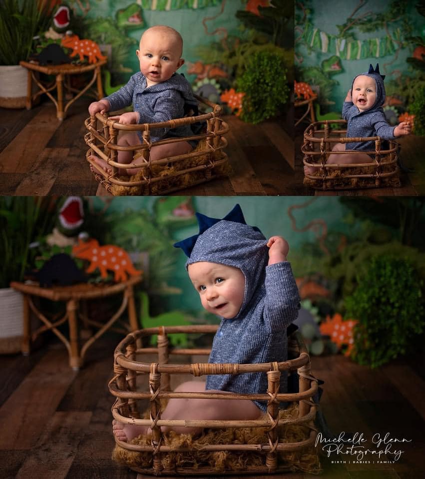 Kate Sommer wilder Dinosaurier Hintergrund Entworfen von Jia Chan Photography - Kate Backdrop.de