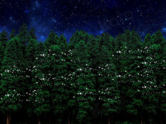 Kate Weihnachtswald Nacht Hintergrund Entworfen von Chain Photography