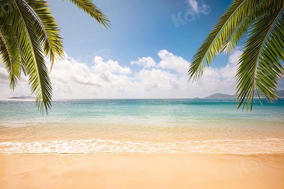Kate Sommer Strand blauen Himmel Hintergrund Landschaft von Chain Photography - Kate Backdrop.de