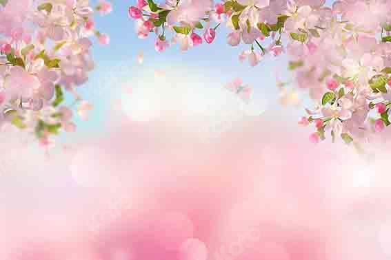 Kate Frühling Kirsche Pfirsich Blühen Hintergrund Landschaft Blumen von Chain Photography - Kate Backdrop.de