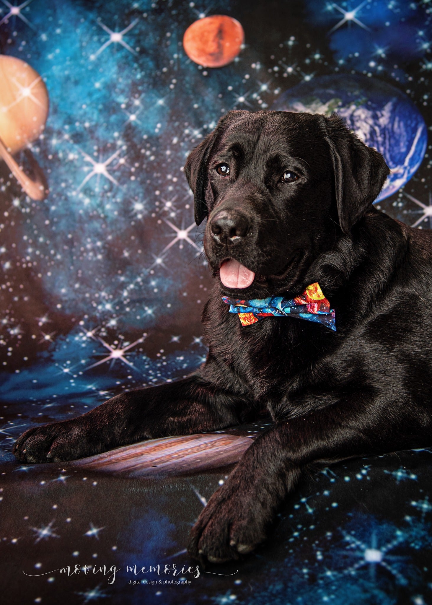 Kate Universum Raum Hintergrund Asteroid Sterne Entworfen von GQ - Kate Backdrop.de