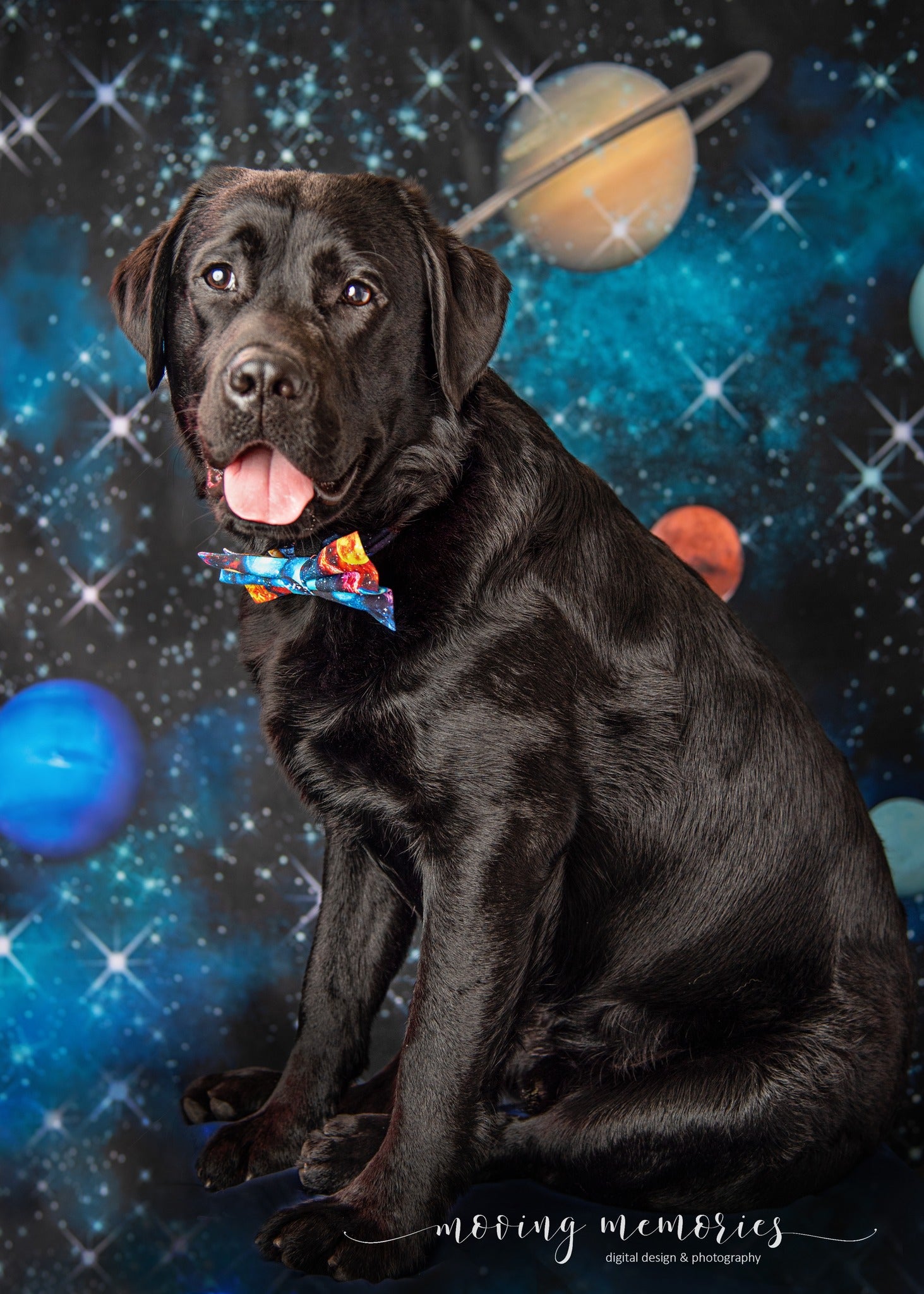 Kate Universum Raum Hintergrund Asteroid Sterne Entworfen von GQ - Kate Backdrop.de