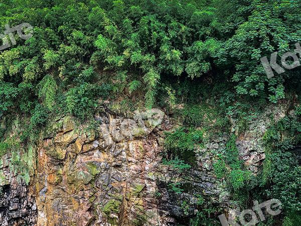 Kate Berg Landschaft Hintergrund Entworfen von Emetselch - Kate Backdrop.de