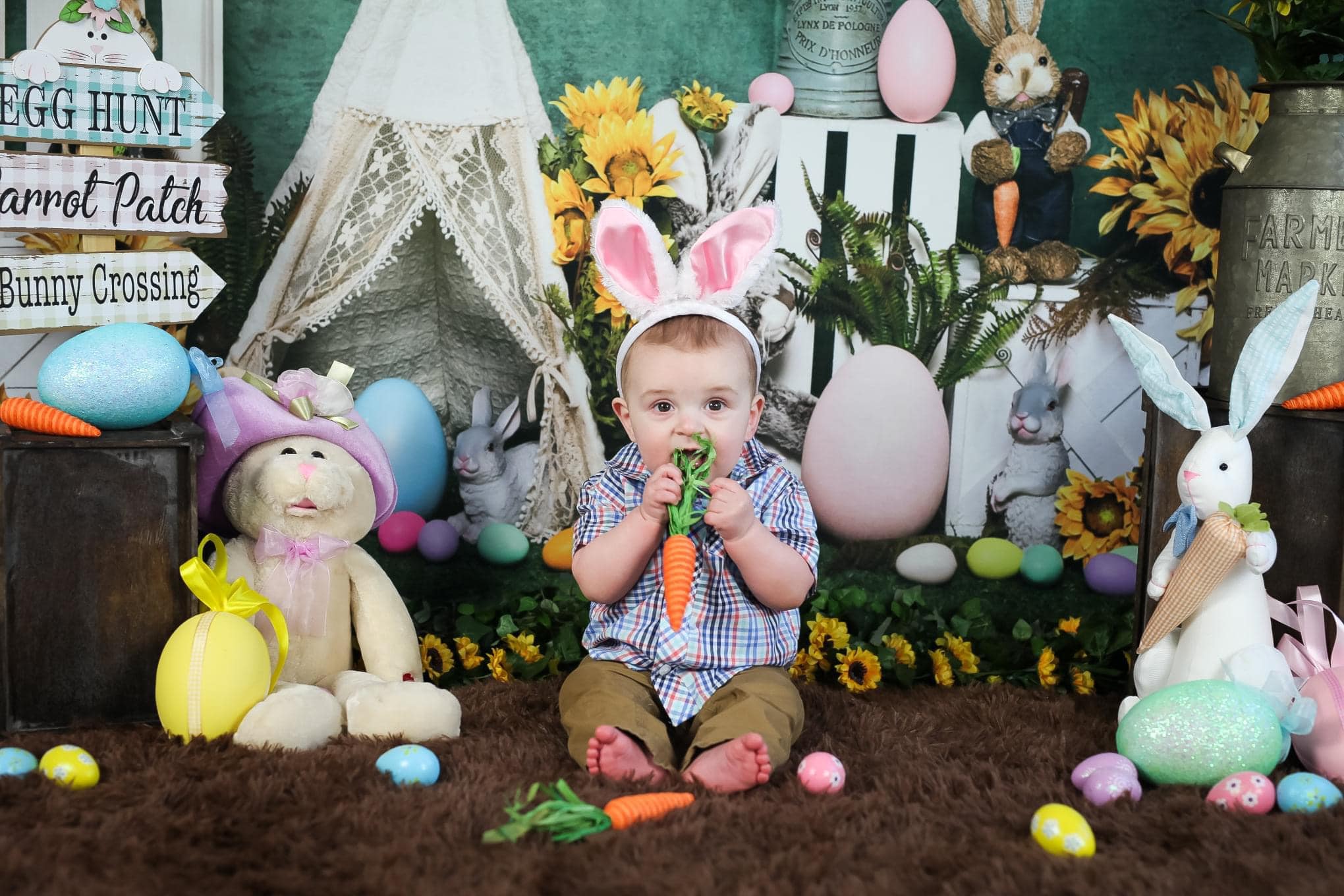Kate Ostern Zelt Ei Hase Hase Hintergrund von Emetselch - Kate Backdrop.de