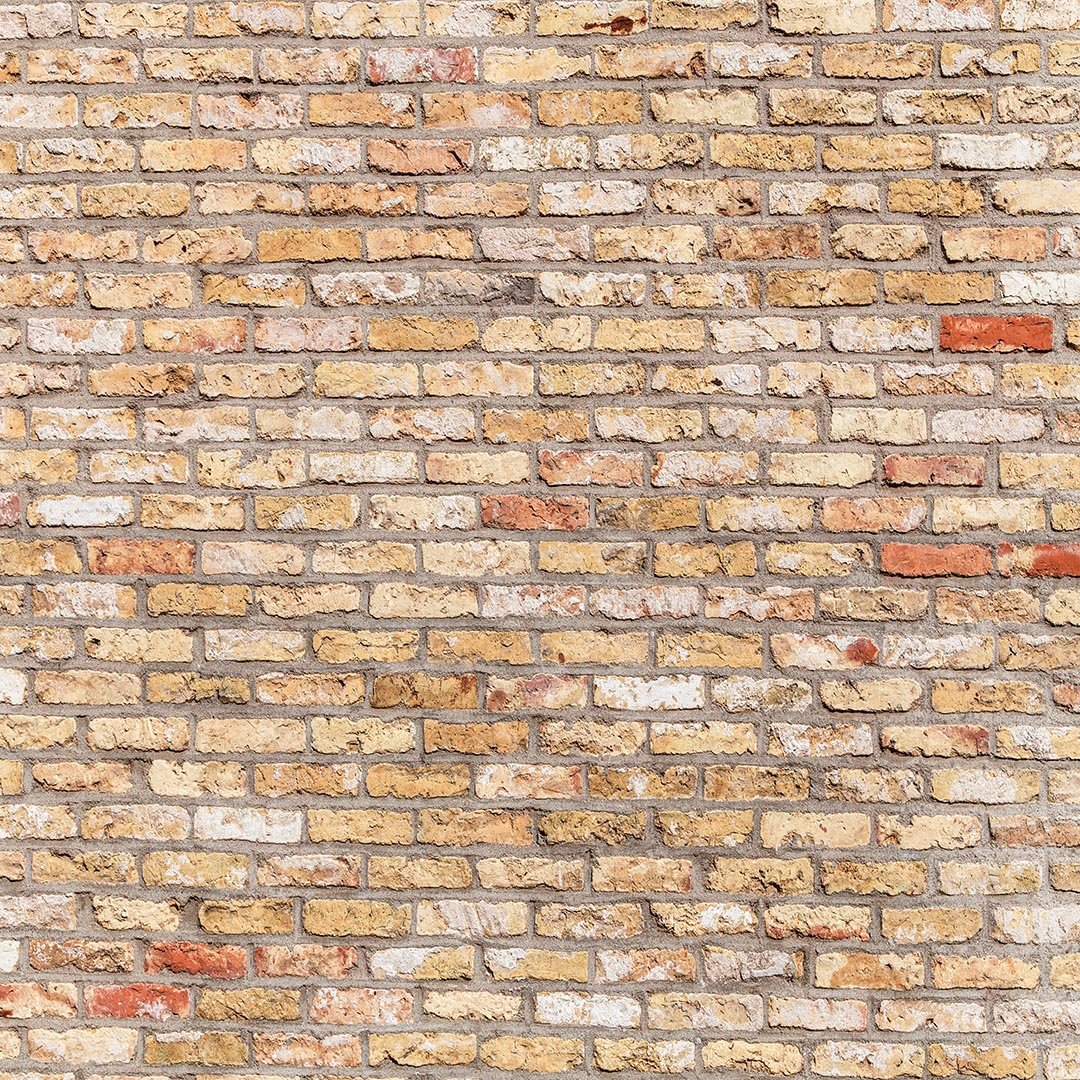 Kate Primärfarbe Backsteinmauer Hintergrund von Kate - Kate Backdrop.de