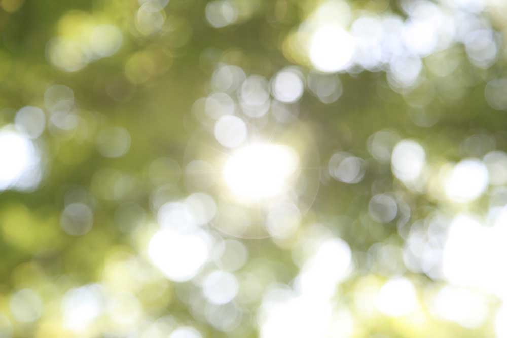 Kate Bokeh Grünton Sommer Hintergrund + Frühling Land Gummimatte Bodenmatte - Kate Backdrop.de