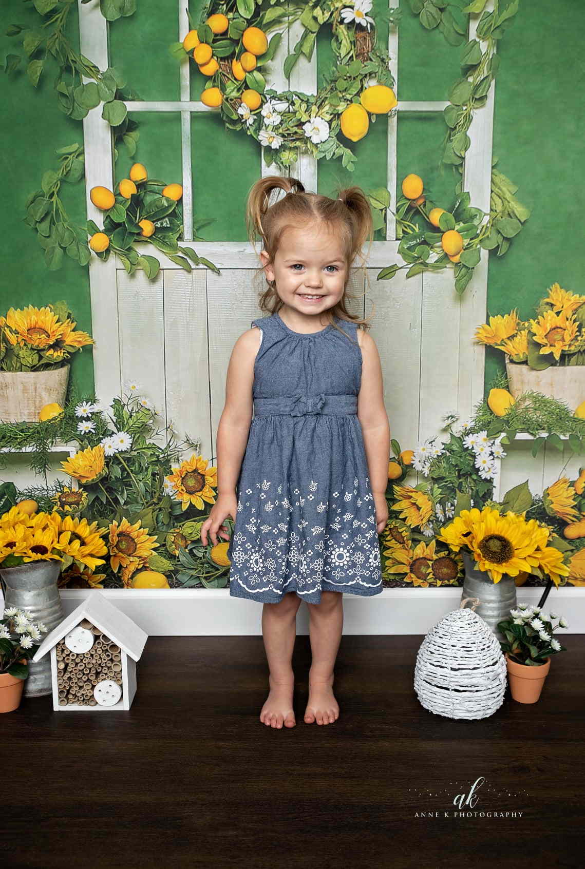 Kate Geburtstag Sommer Hintergrund Zitrone Sonnenblume Scheunentor von Emetselch - Kate Backdrop.de