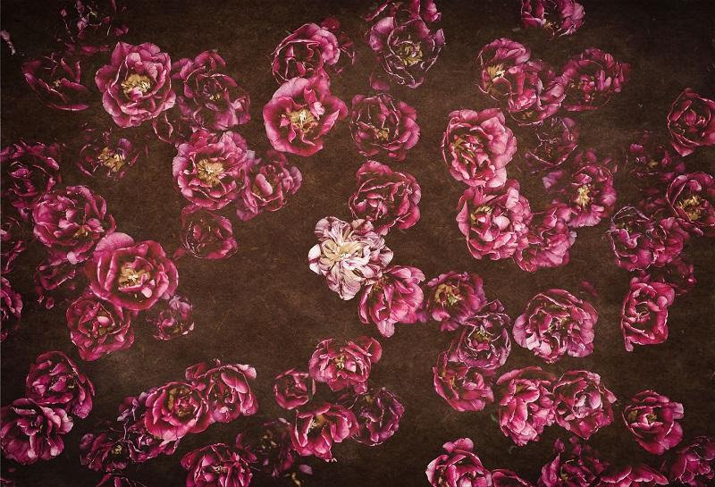 Kate Red Retro Blumen Valentinstag Hintergrund für Fotografie von Jerry_Sina entworfen - Kate Backdrop.de