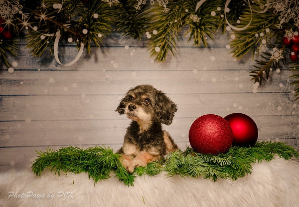 Kate Holz Bokeh Weihnachten Hintergrund Tannenzweigen Dekoration - Kate Backdrop.de