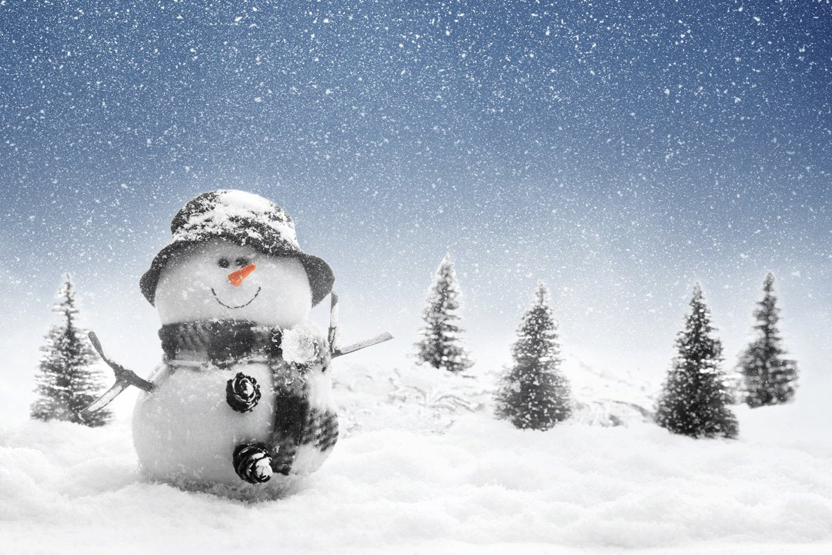 Katebackdrop:Kate fall snow winter Christmas backdrop Snowman outdoor