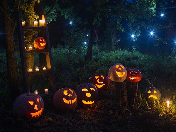 Katebackdrop:Kate Halloween Photography Backdrop Pumpkin Lamp Background