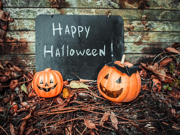 Katebackdrop:Kate Happy Halloween Pumpkins Branch Photo Background