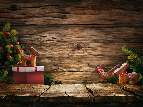 Katebackdrop:Kate Wooden Christmas Backdrop with Pine for Newborn