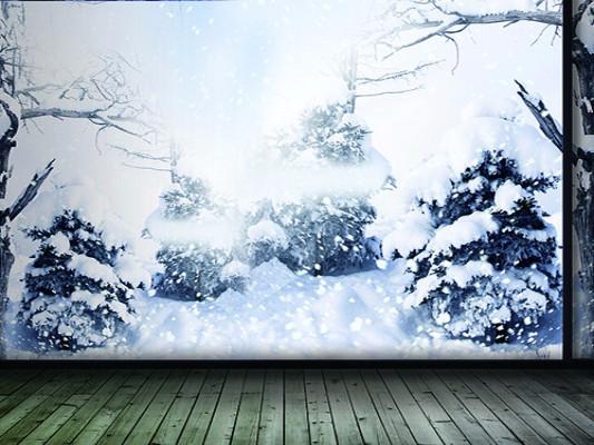 Katebackdrop:Kate Snow Cotton Winter Tree Gray Wall Wood Floor For Photography Studio